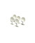 Satellite dishes (5 units)