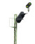 DB Système H-V 1969 - Signal avancé